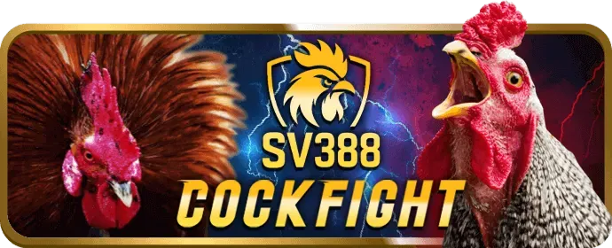 Vai trò của người dùng trong việc bảo mật tài khoản bong8899 app